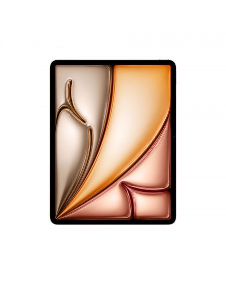 13-inch iPad Air Wi-Fi + Cellular 1TB - Galassia