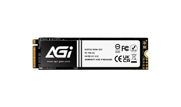 AGI Technology AI198 256GB M.2 PCI Express 3.0 NVMe 3D TLC