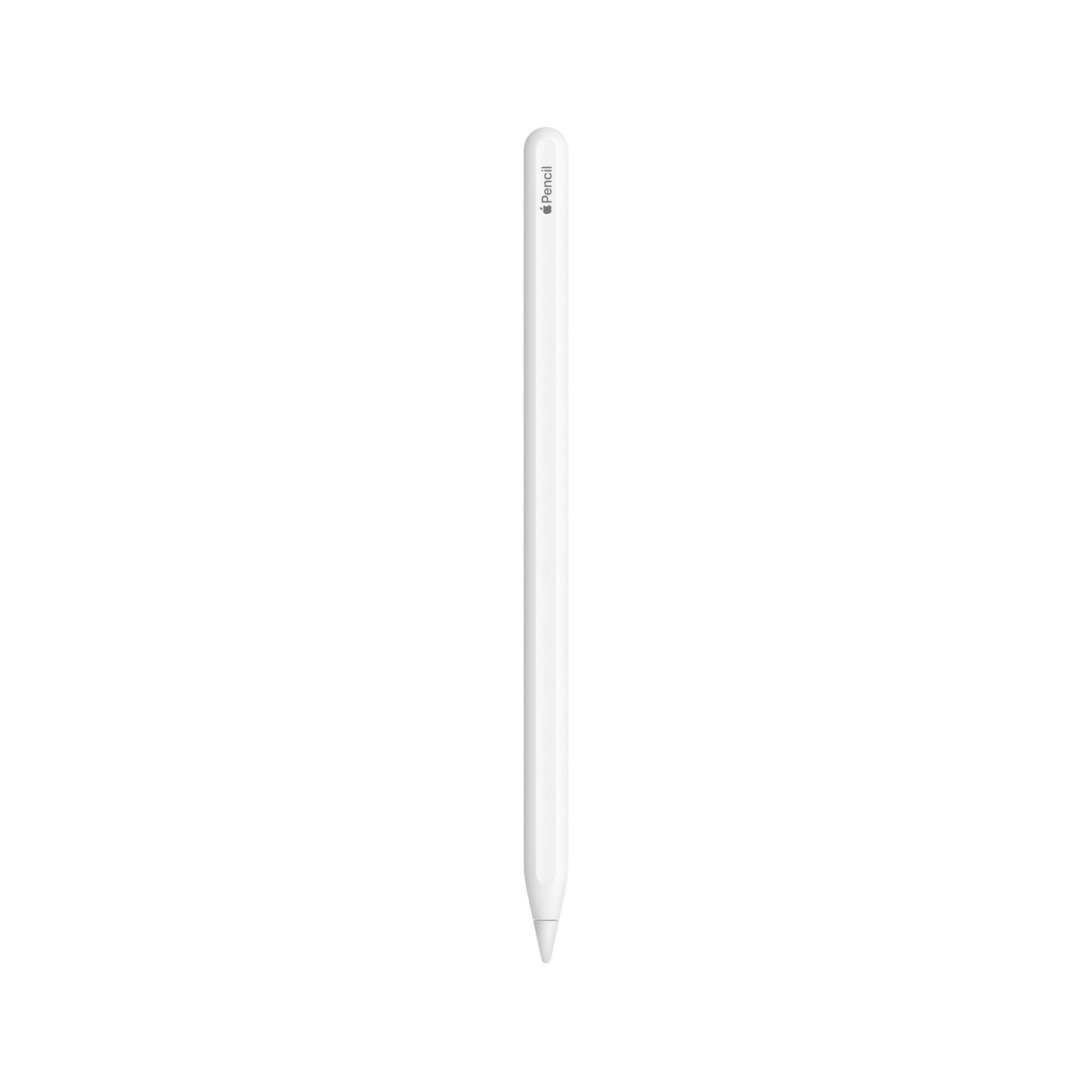 Apple Pencil (1st Generation with USB-C Adapter)