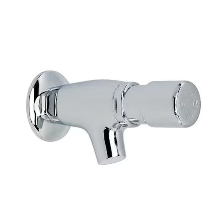 RIVER VANDAL-PROOF TEMPORIZED WALL-MOUNTED TAP