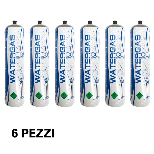 6 PEZZI BOMBOLA MONOUSO CO2 E290 DIOSSIDO DI CARBONIO 600 GR - GASATORE ACQUA , ACQUARIO
