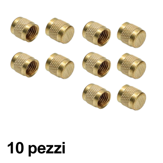 10 pezzi - Cappuccio tappo con guarnizione 5/16'' sae
