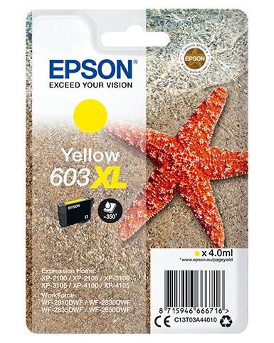 EPSON CARTUCCIA INK GIALLO, STELLA MARINA, 603 XL