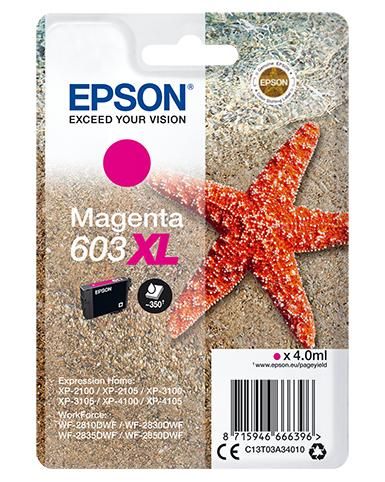EPSON CARTUCCIA INK MAGENTA, STELLA MARINA, 603 XL