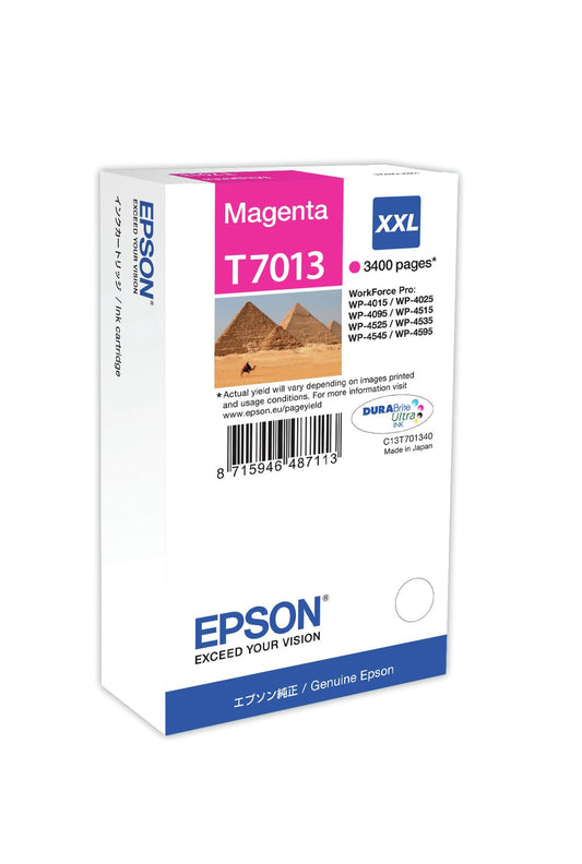 Epson Magenta Canister