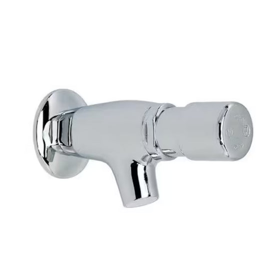 RIVER VANDAL-PROOF TEMPORIZED WALL-MOUNTED TAP